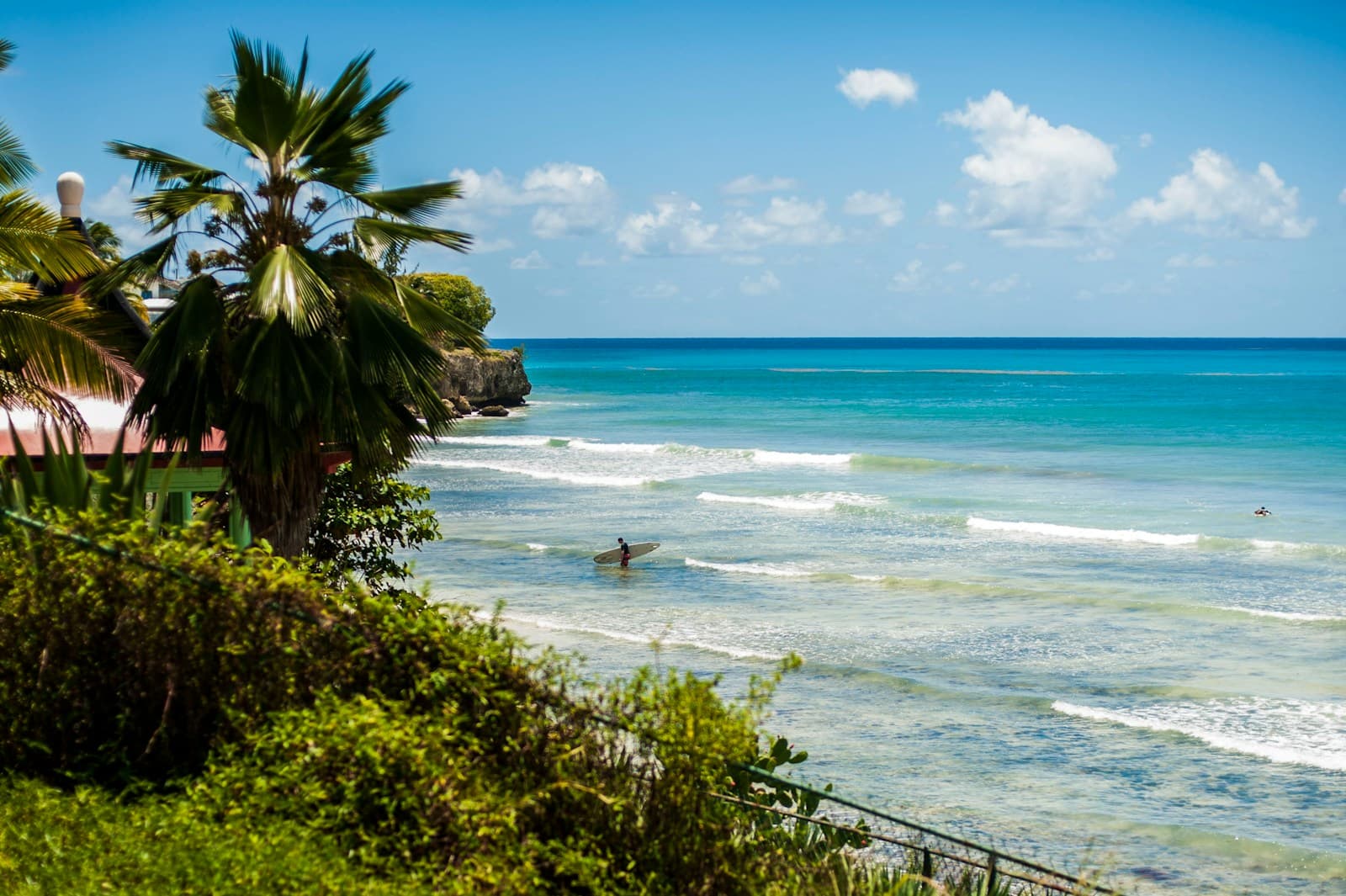 A surfer in Barbados coastal water