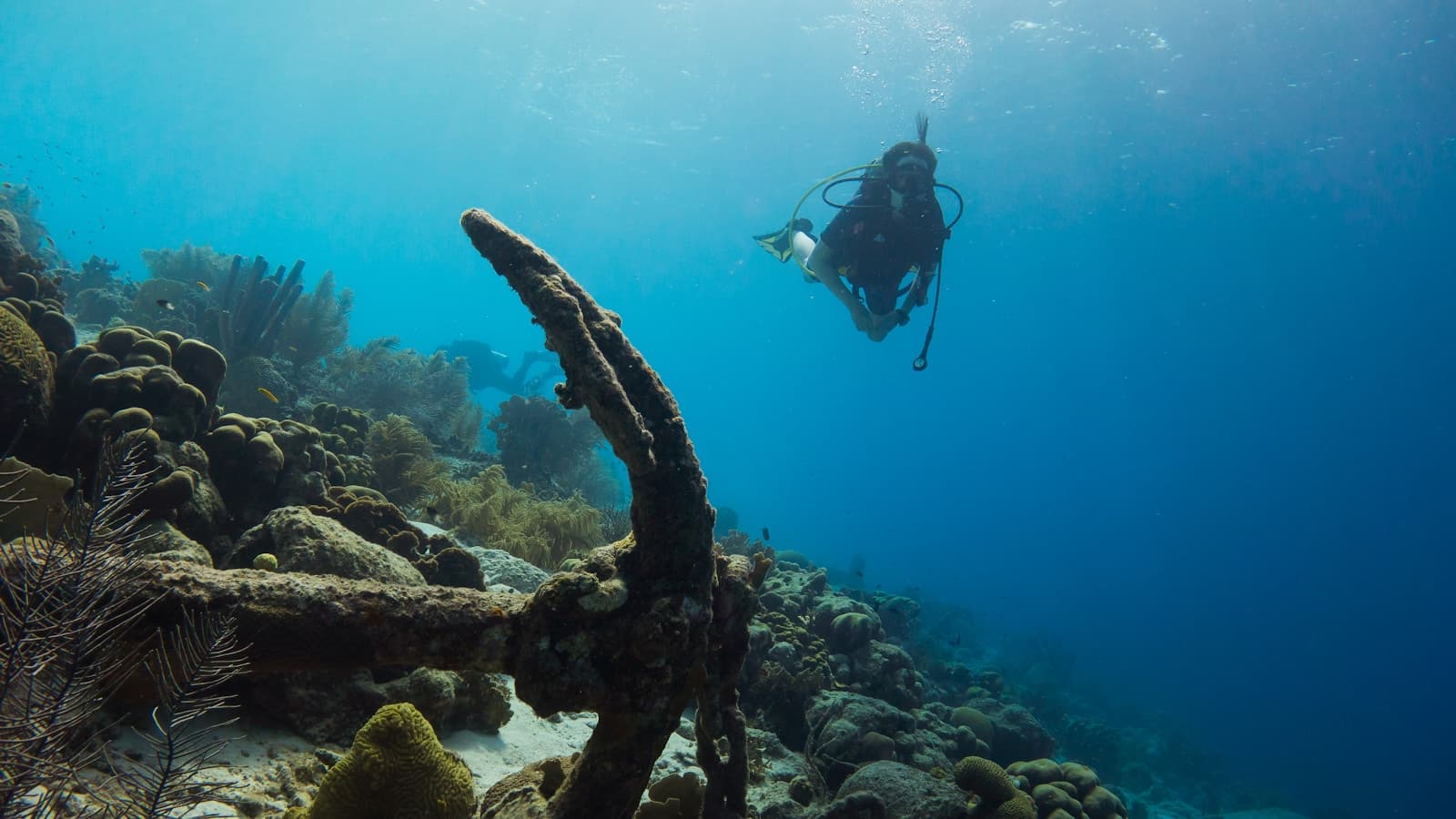 A scuba diver over the coral reef off Kralendijk, Bonaire