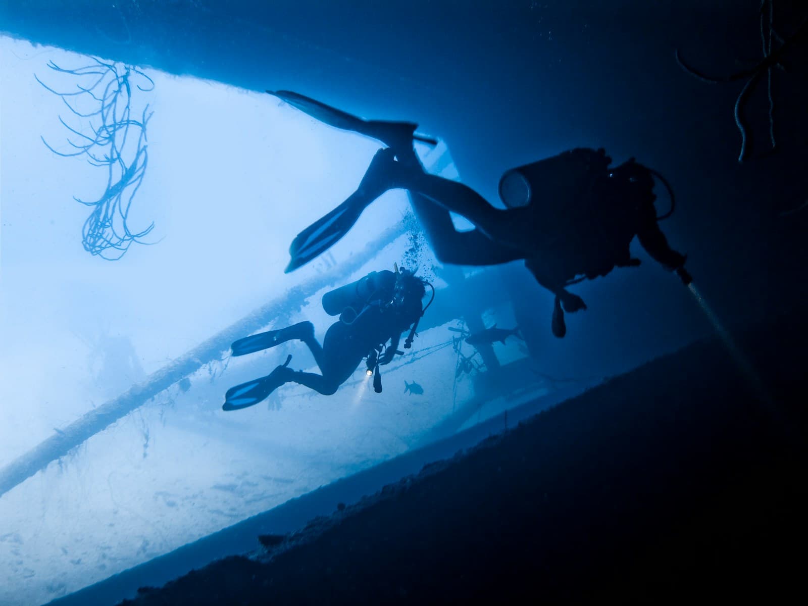 Divers exploring a shipwreck in Bonaire National Marine Park