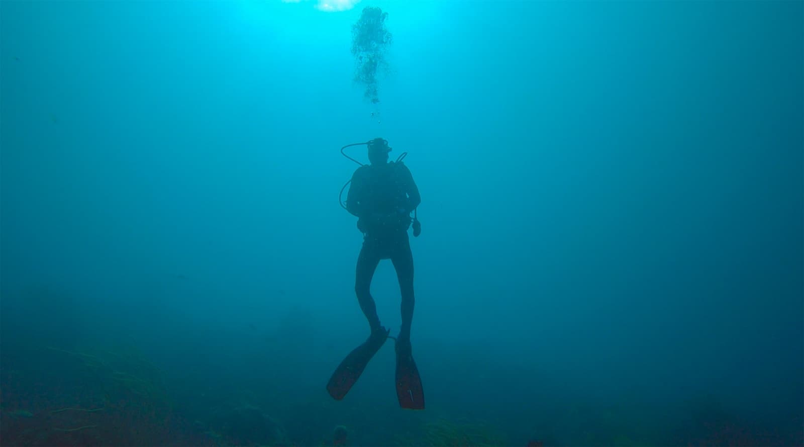 A scuba diver in the blue water off Bonaire