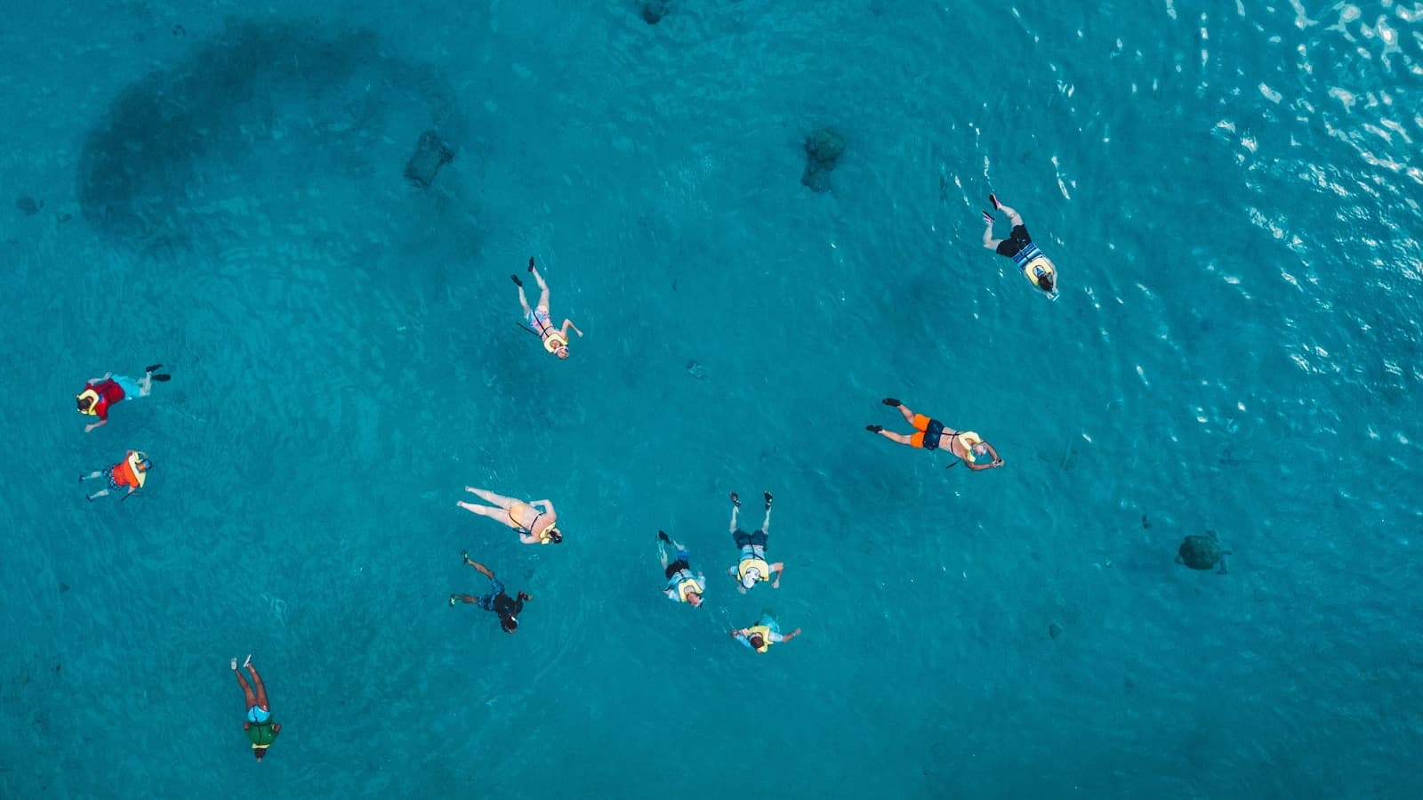 Snorkelers in clear water at Playa Grandi, Curaçao
