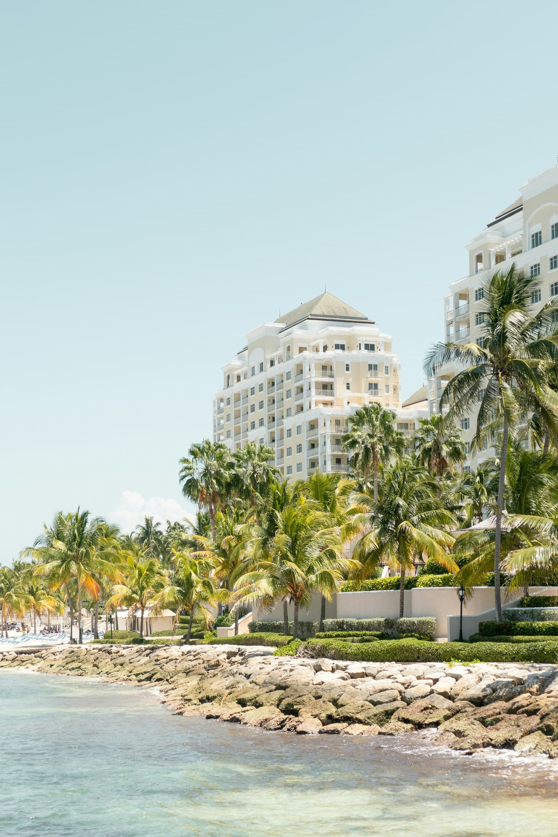 Palm-lined shoreline in Montego Bay, Jamaica