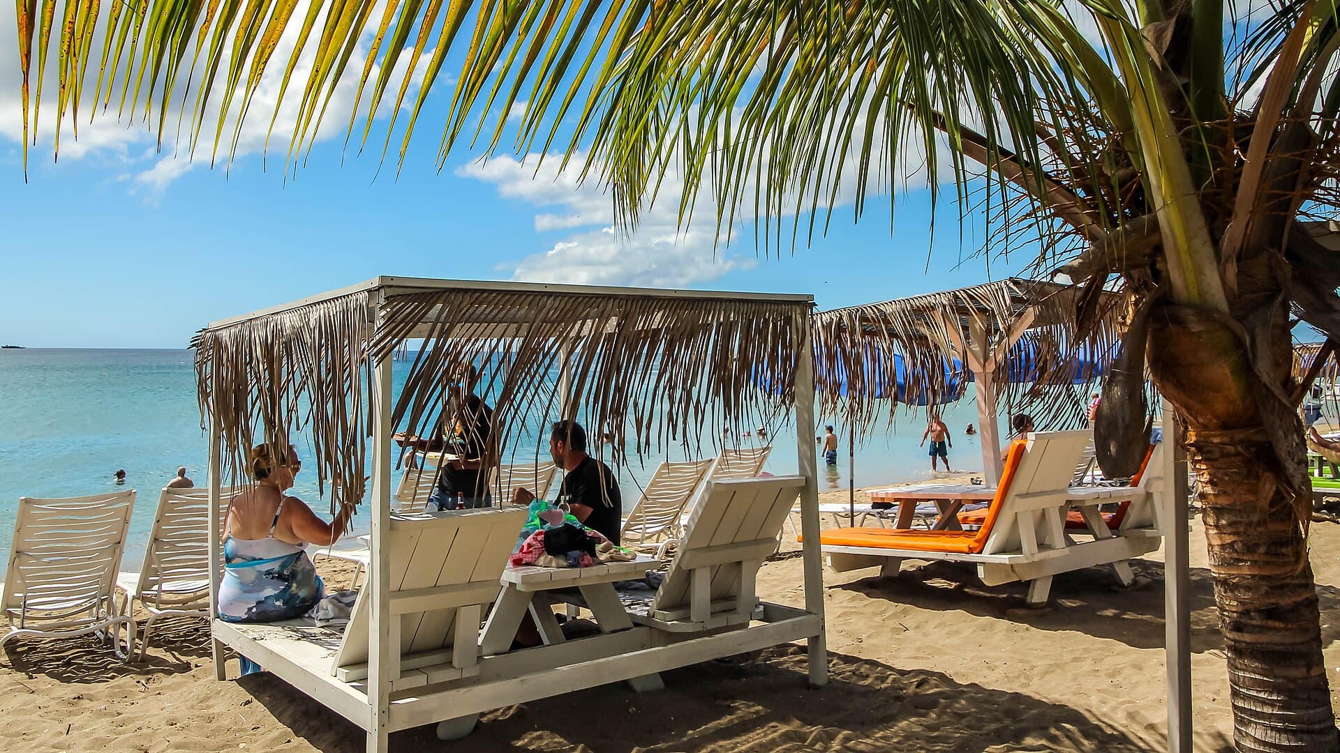 Palm trees and calm water at Pinney's Beach, Nevis